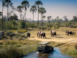 Game drive in Chobe National Park
